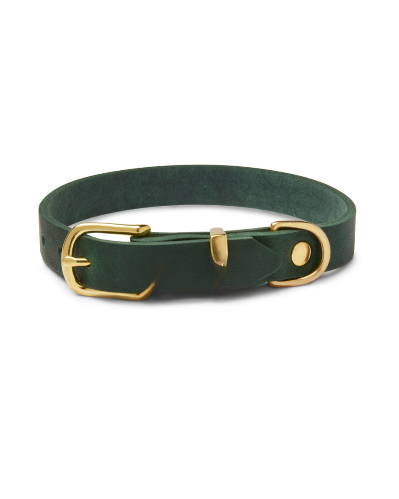 Butter Leather Dog Leash in Forest Green
