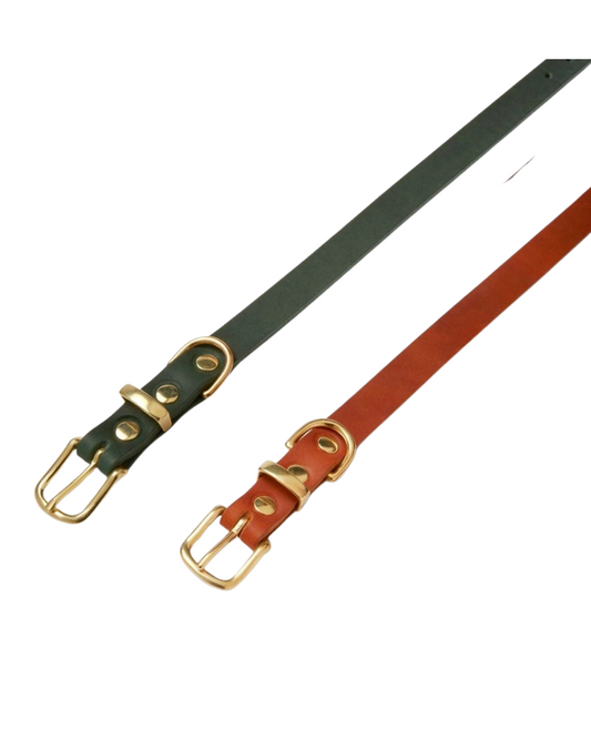 Butter Leather Dog Leash in Forest Green