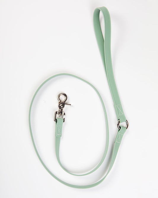 A Walk in the Park Dog Leash in Green