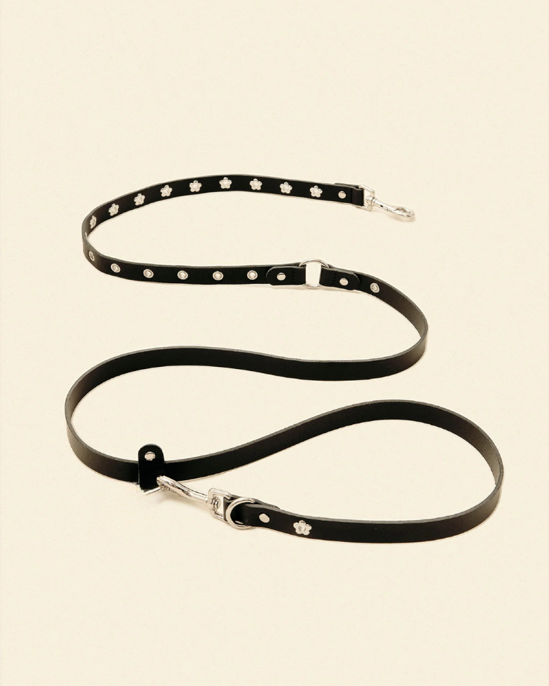 Flower Power Dog Leash in Midnight