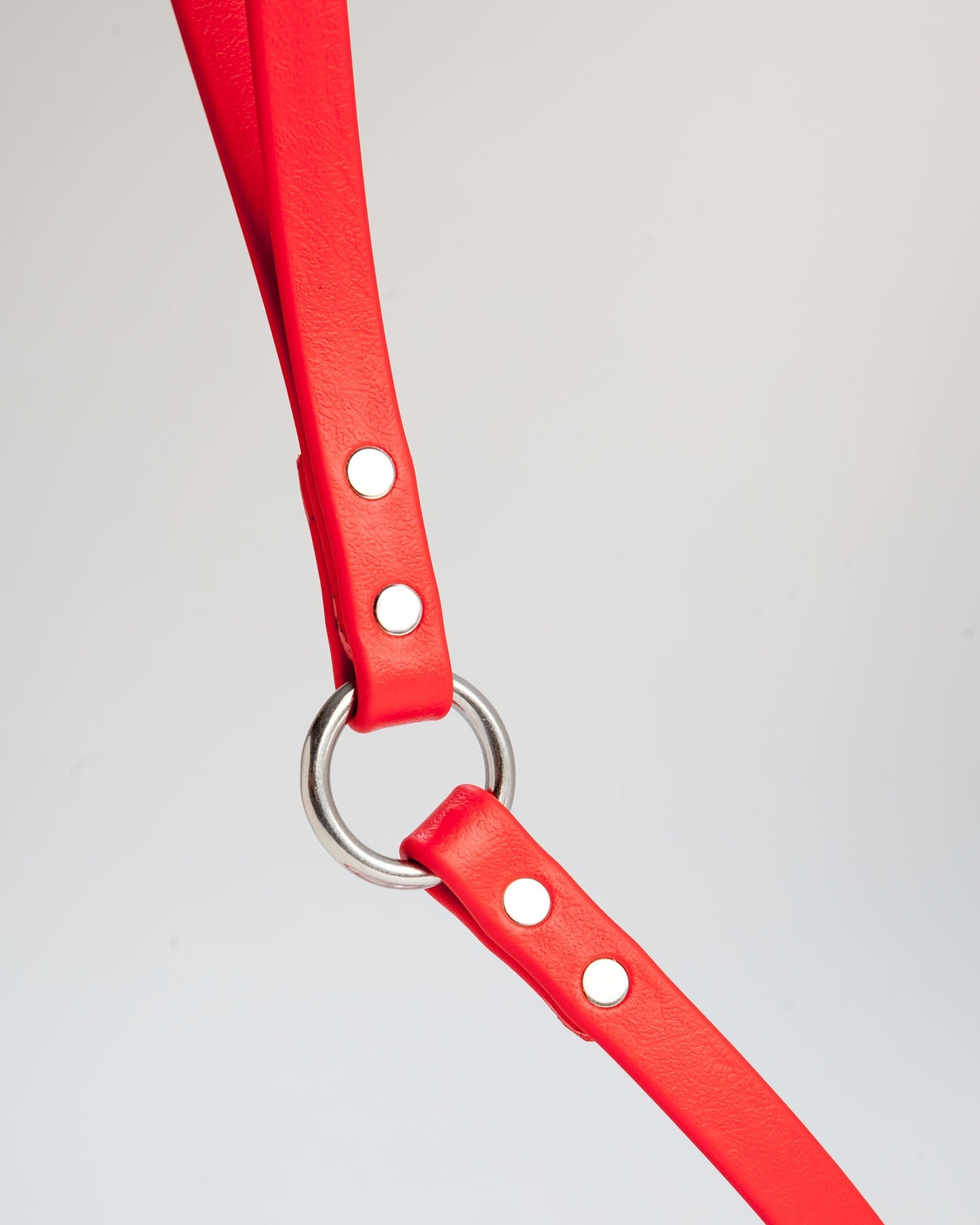 City Leash in Real Red