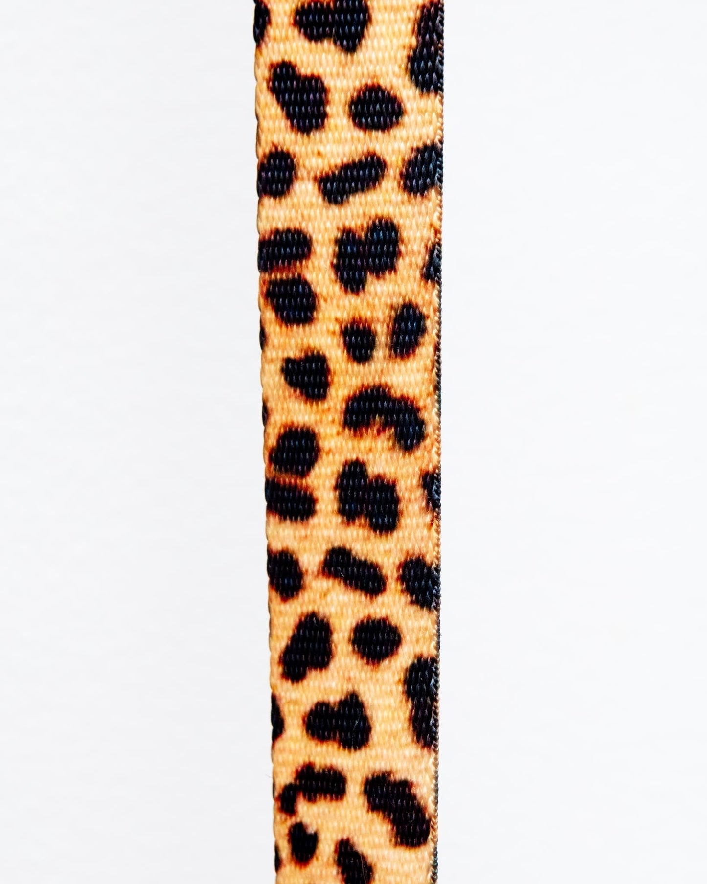 Basic Nylon Dog Leash