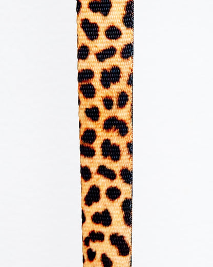 Basic Nylon Dog Leash
