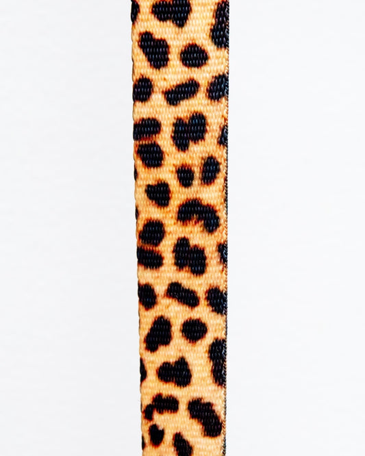 Basic Nylon Dog Leash
