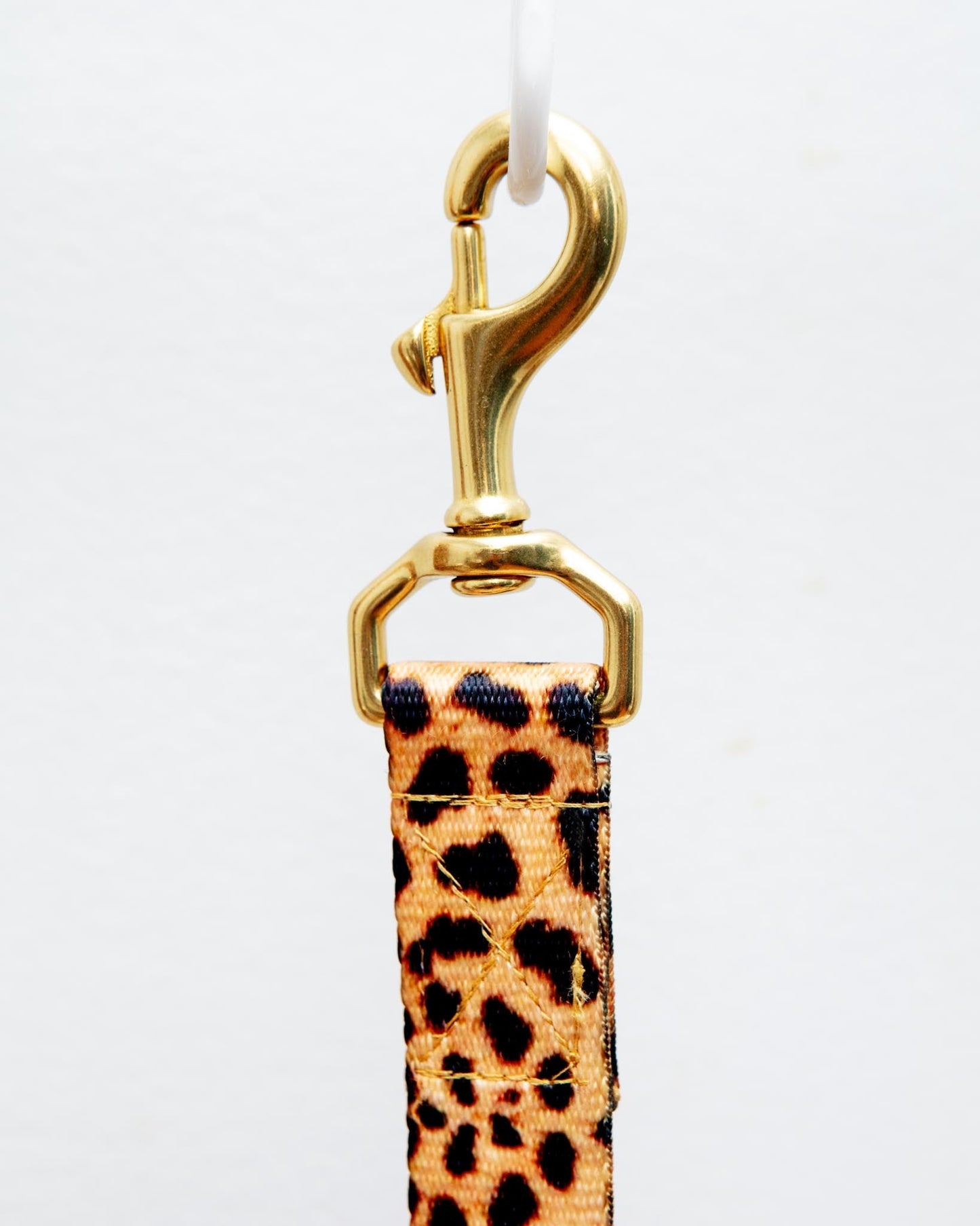 Basic Nylon Dog Leash
