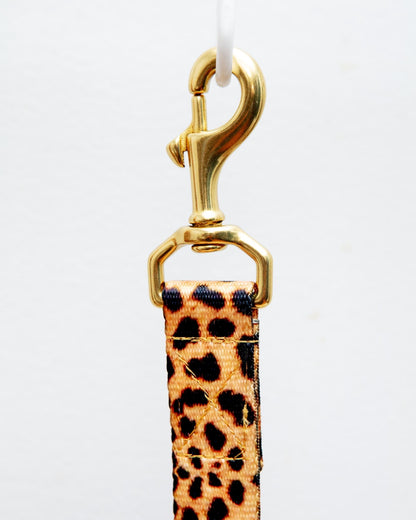 Basic Nylon Dog Leash