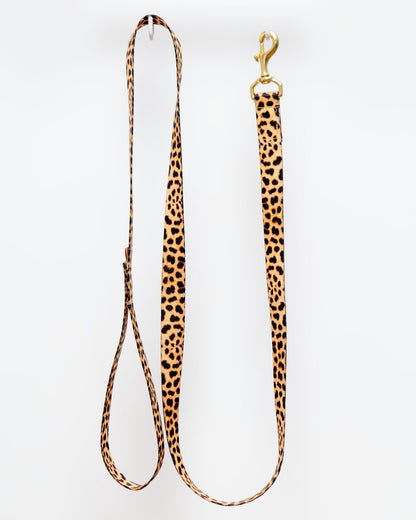 Basic Nylon Dog Leash
