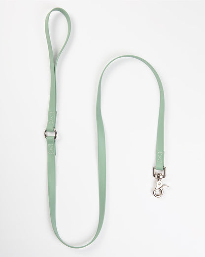 A Walk in the Park Dog Leash in Green