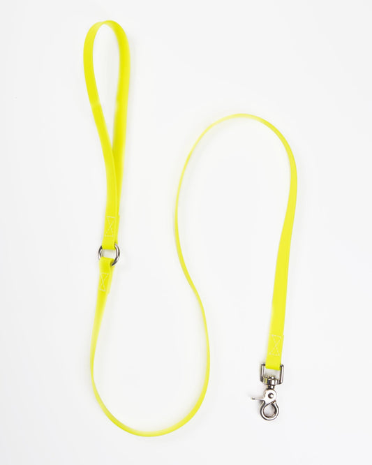 A Walk in the Park Dog Leash in Neon Yellow
