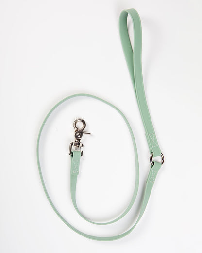A Walk in the Park Dog Leash in Green
